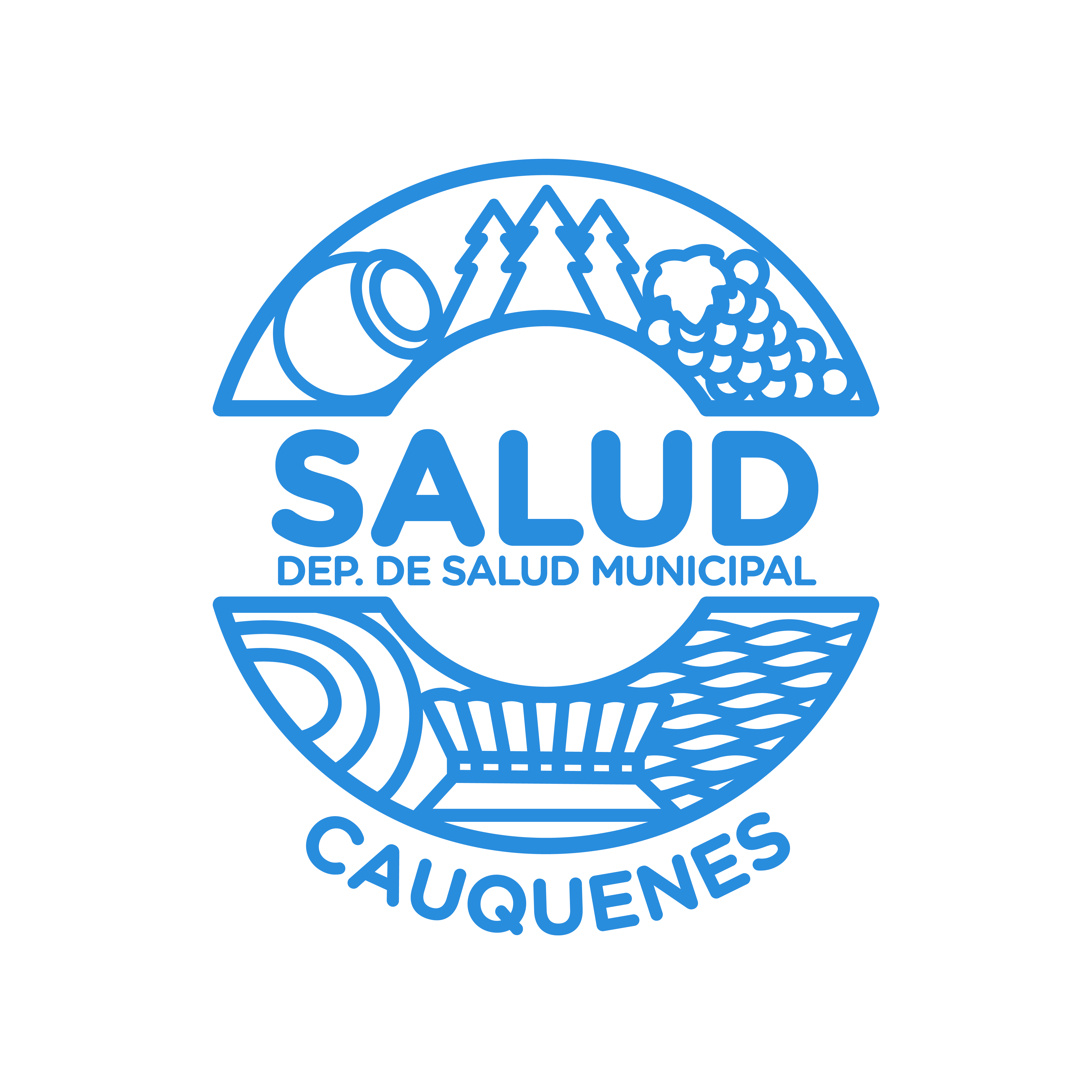 Departamento de Salud Cauquenes